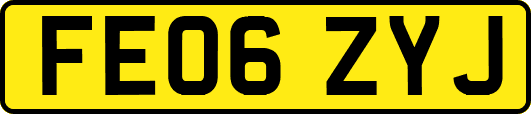FE06ZYJ