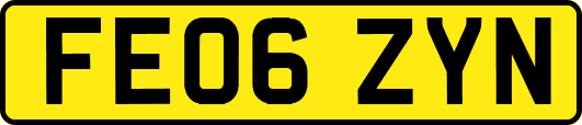 FE06ZYN