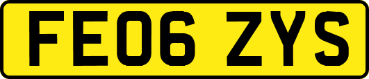 FE06ZYS