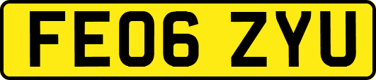 FE06ZYU