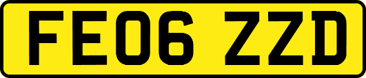 FE06ZZD