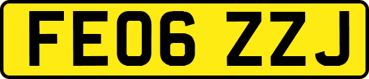 FE06ZZJ