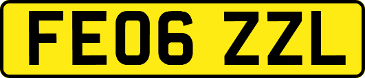 FE06ZZL
