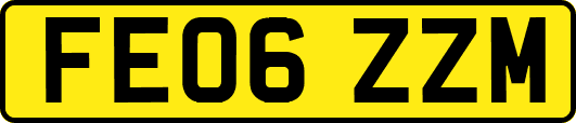 FE06ZZM