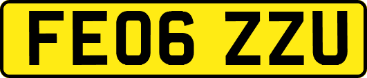 FE06ZZU