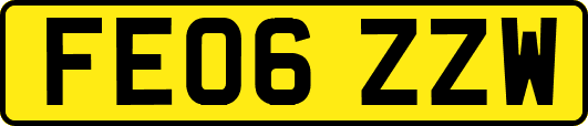 FE06ZZW
