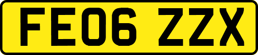 FE06ZZX