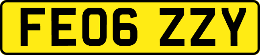 FE06ZZY
