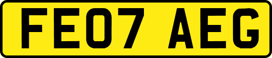 FE07AEG