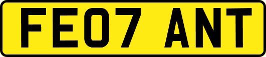 FE07ANT