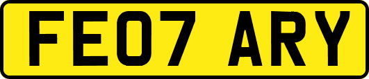 FE07ARY