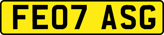 FE07ASG
