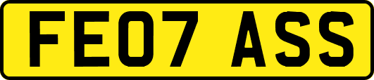 FE07ASS