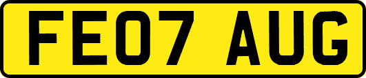 FE07AUG