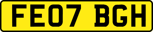 FE07BGH