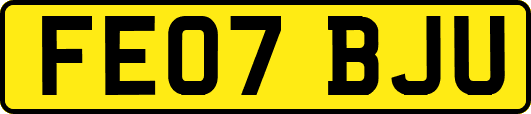 FE07BJU