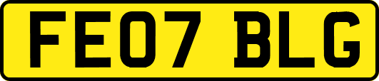 FE07BLG