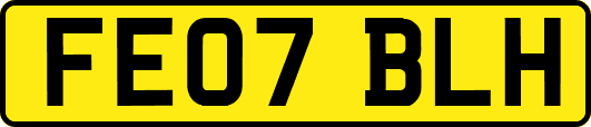 FE07BLH