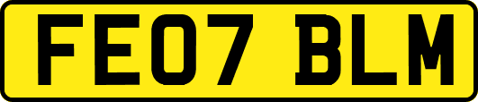 FE07BLM