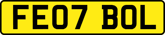 FE07BOL
