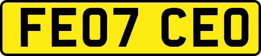 FE07CEO