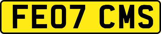 FE07CMS