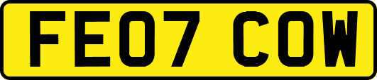 FE07COW