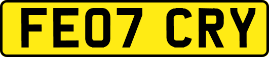 FE07CRY
