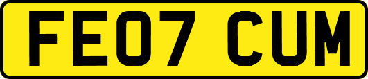 FE07CUM