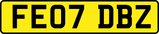FE07DBZ