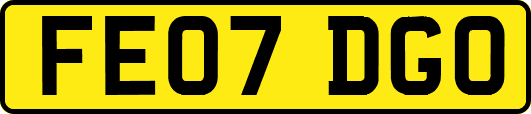 FE07DGO