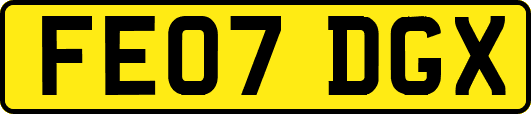 FE07DGX