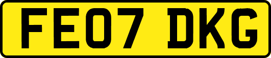 FE07DKG