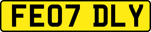 FE07DLY