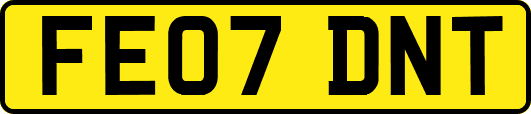 FE07DNT