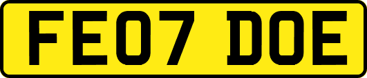 FE07DOE