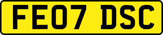 FE07DSC