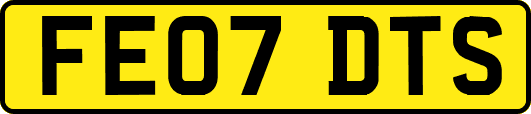 FE07DTS