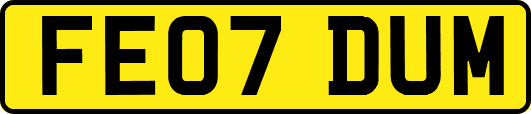 FE07DUM