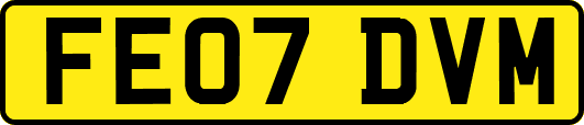 FE07DVM