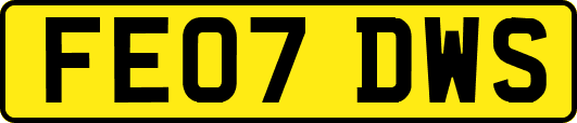 FE07DWS