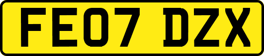 FE07DZX