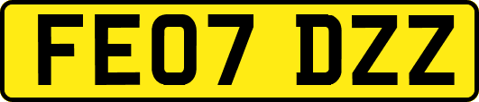 FE07DZZ