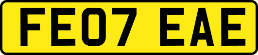 FE07EAE