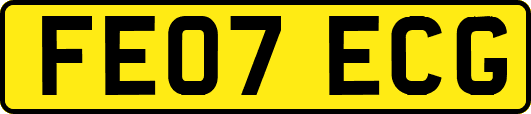 FE07ECG