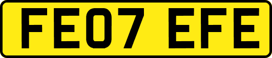 FE07EFE