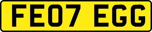 FE07EGG