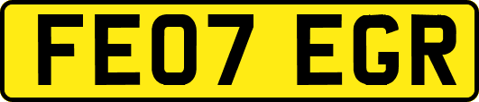 FE07EGR