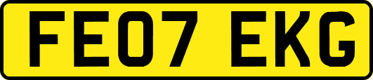 FE07EKG