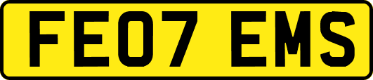 FE07EMS